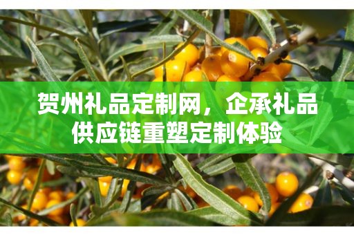 贺州礼品定制网，企承礼品供应链重塑定制体验